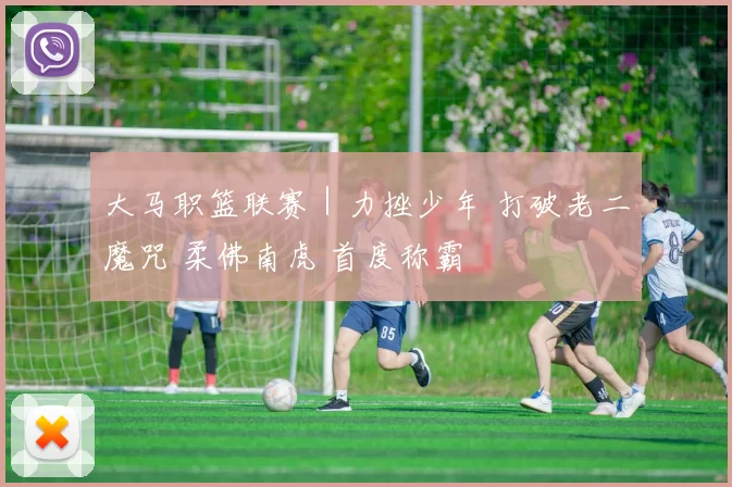 大马职篮联赛｜力挫少年 打破老二魔咒 柔佛南虎 首度称霸