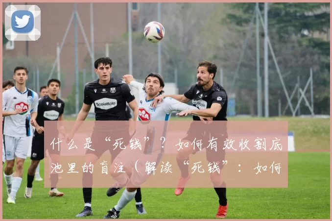 什么是“死钱”？如何有效收割底池里的盲注（解读“死钱”：如何高效拿下底池盲注）