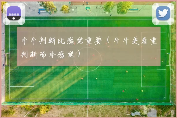 牛牛判断比感觉重要（牛牛更看重判断而非感觉）