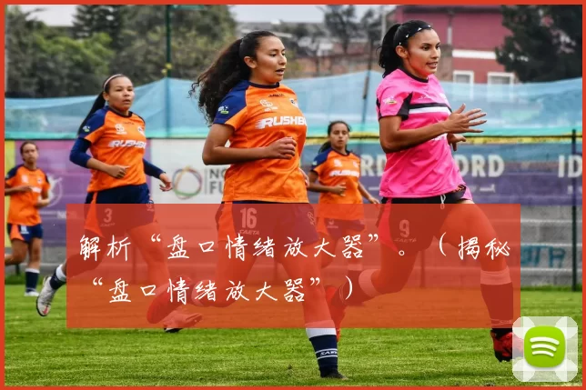 解析“盘口情绪放大器”。（揭秘“盘口情绪放大器”）