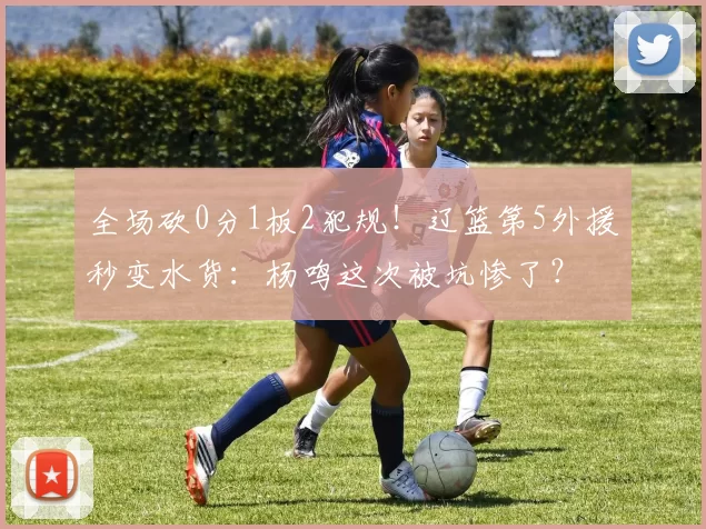 全场砍0分1板2犯规！辽篮第5外援秒变水货：杨鸣这次被坑惨了？