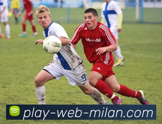 米兰体育app平台生态图